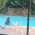 Swim lesson at community pool